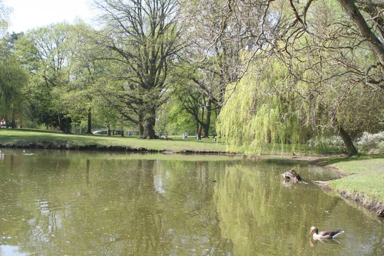 buergerpark_04.jpg, 144kB