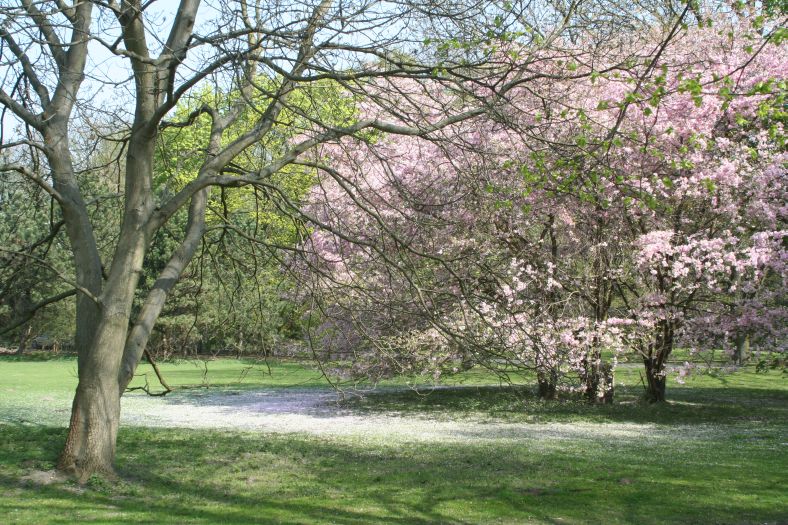 buergerpark_06.jpg, 167kB