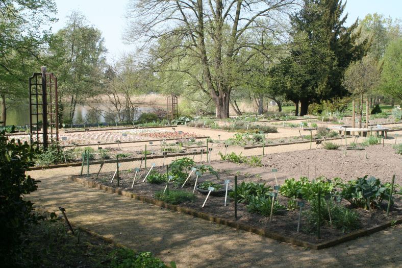 schulgarten_05_beete