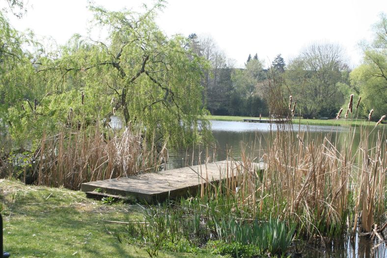 schulgarten_07_dovesee_