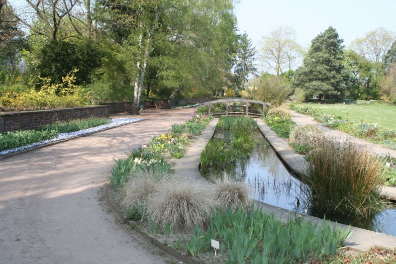 schulgarten_10_impressionen