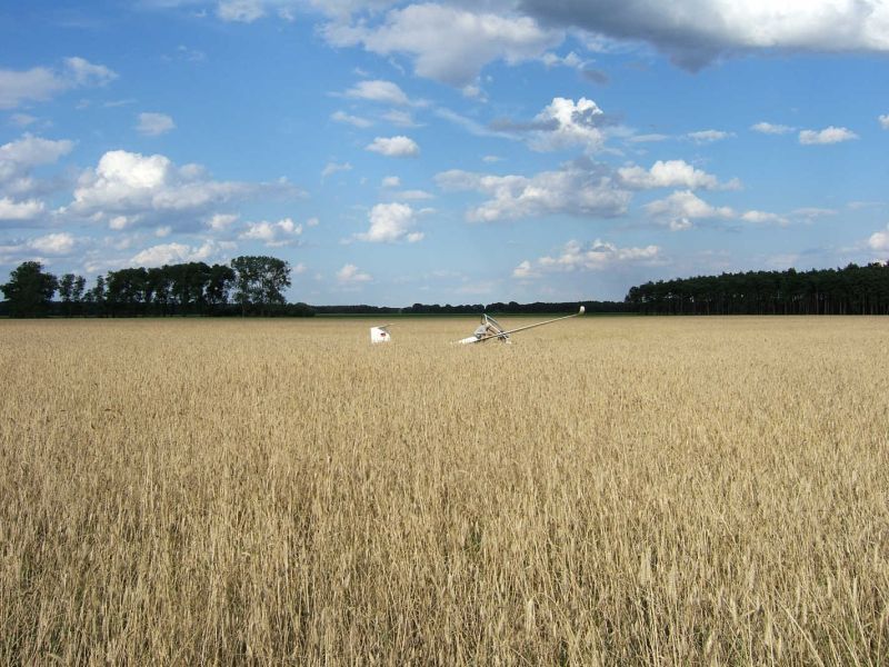 DM-2005_21_aussenlandung_im_kornfeld.jpg, 112kB
