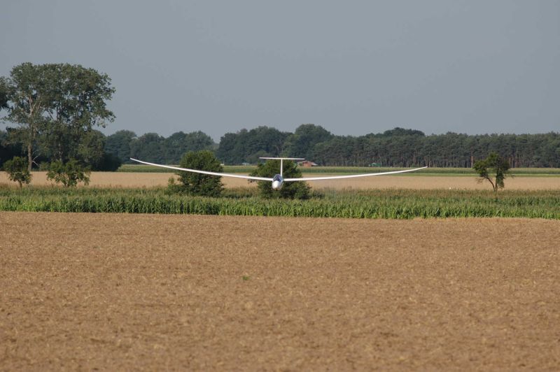 DM-2005_30_ducken.jpg, 96kB