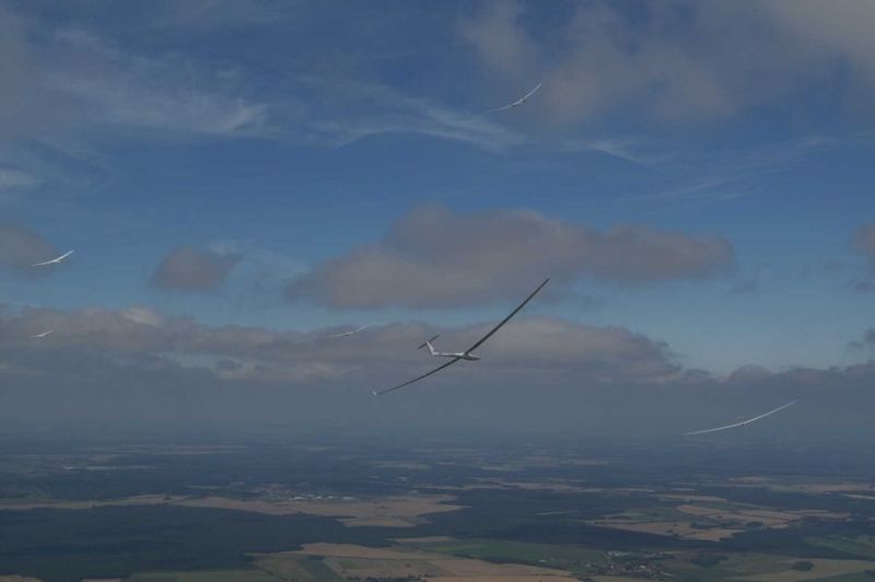 DM-2005_41_kreisen_im_bart.jpg, 67kB