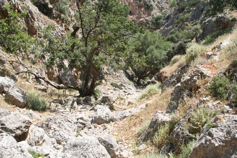 kreta_akrotiri_moni_katholiko_21_zur_bucht_02.jpg, 179kB