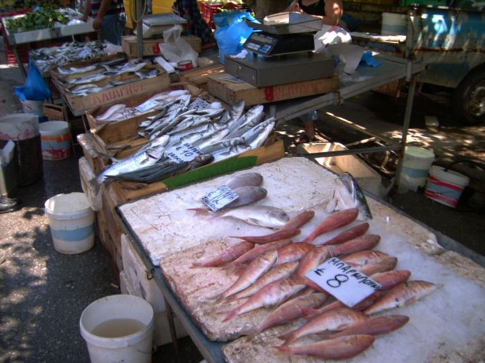 hania_markt_03.jpg, 105kB