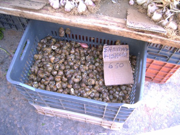 hania_markt_07.jpg, 114kB