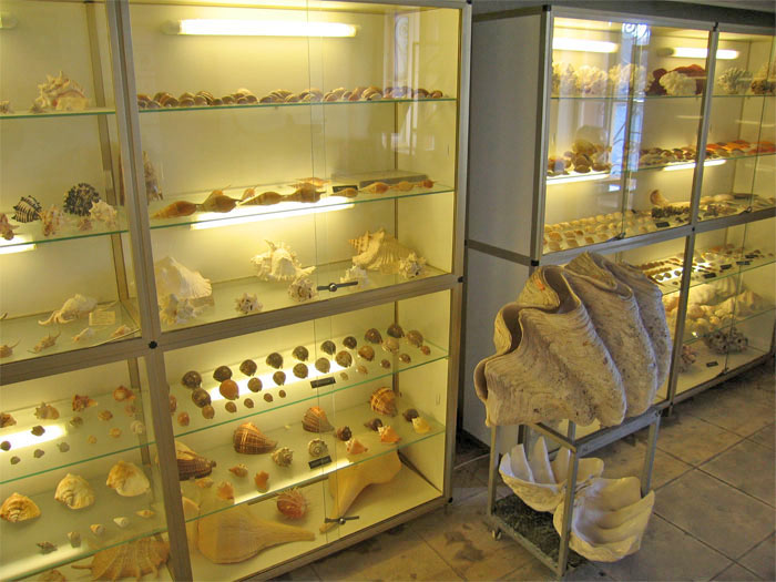 chania_naval_museum_04.jpg, 83kB