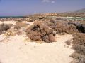 kreta_strand_von_elafonisi_09_klein.jpg, 3,0kB