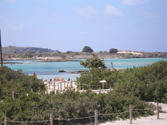 kreta_strand_von_elafonisi_14_baeume_unter_naturschutz.jpg, 89kB