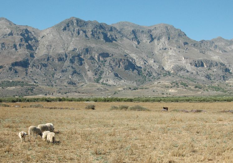 kreta_frangokastello_region_03.jpg, 92kB