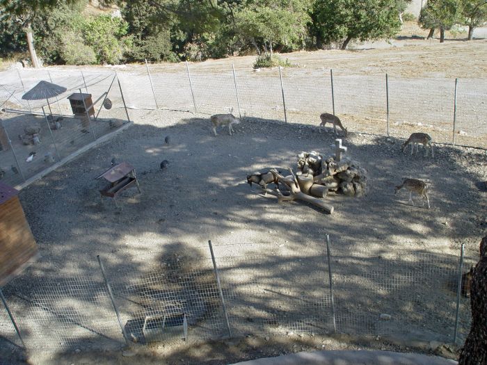 kreta_moni_preveli_07_tierhaltung.jpg, 115kB