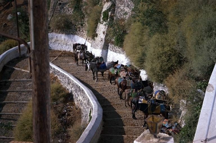 santorini_fira_esel.jpg, 261kB