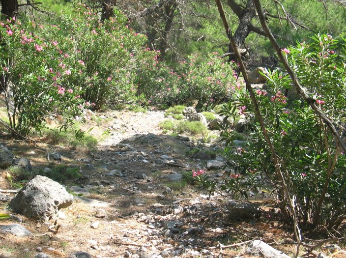 kreta_agios_pavlos_kapelle_01_der_weg.jpg, 156kB