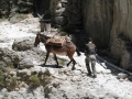 kreta_samaria_schlucht_05_ranger_mit_maultier_klein.jpg, 23kB