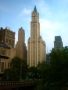 new-york_woolworthbuilding_01_klein.jpg, 1,7kB