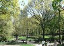new-york_central_park_02_klein.jpg, 4,8kB