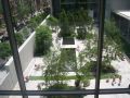 new-york_museum-of-modern-art_03_garten_klein.jpg, 14kB