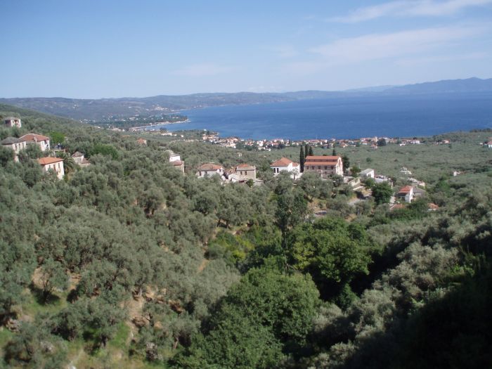 pilion_irgendwo_03.jpg, 81kB