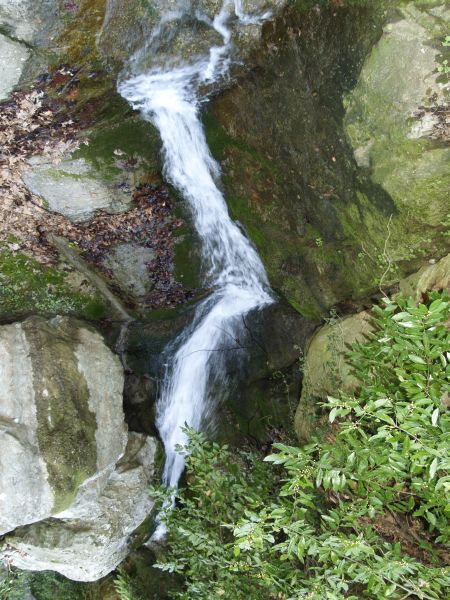 pilion_irgendwo_05.jpg, 93kB