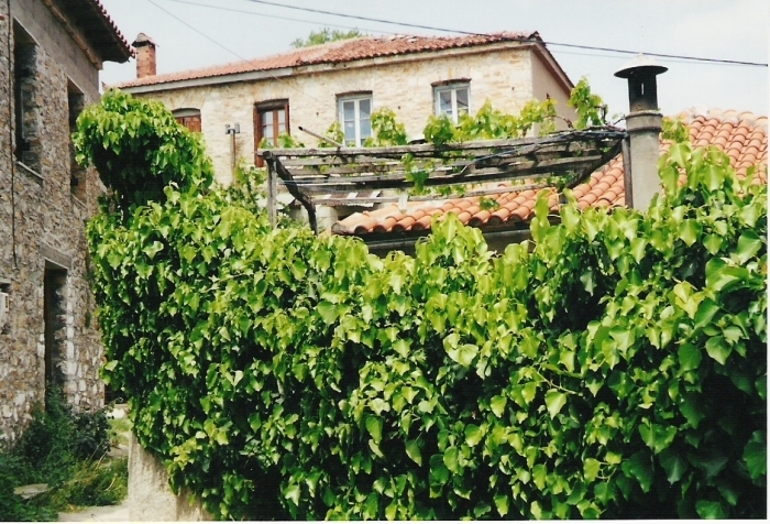 pilion_irgendwo_16_lafkos_ansichten_01.jpg, 333kB