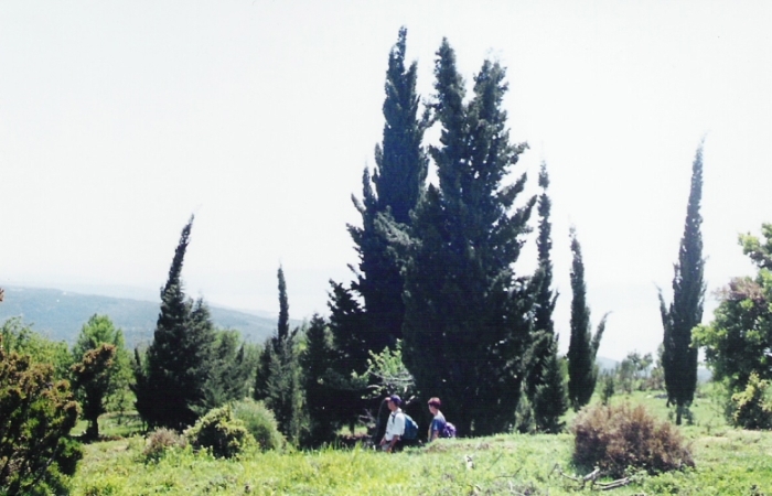 pilion_irgendwo_22_wandern.jpg, 199kB