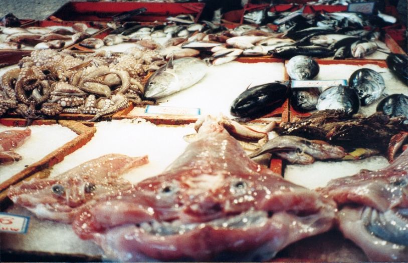 pilion_renate_und_juergen_22_abendessen_04_was_gibt_es.jpg, 94kB