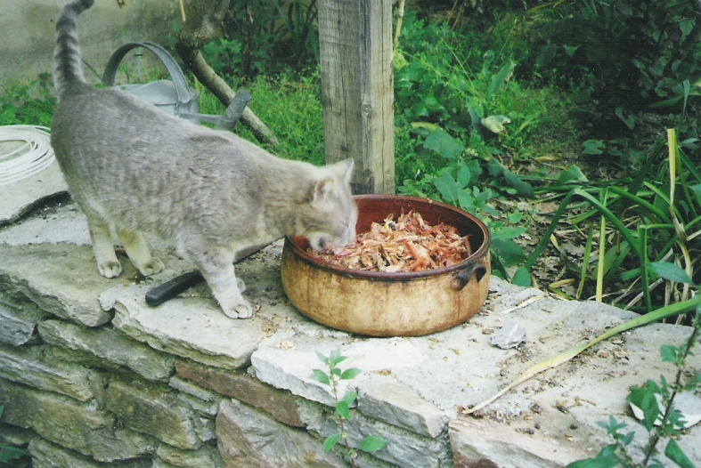 pilion_renate_und_juergen_32_nichts_ueber.jpg, 373kB