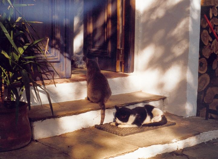 pilion_renate_und_juergen_33_kein_schritt_ins_haus.jpg, 64kB