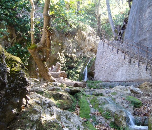 rhodos_im_tal_der_schmetterlinge_01.jpg, 216kB