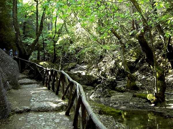 rhodos_im_tal_der_schmetterlinge_06.jpg, 84kB